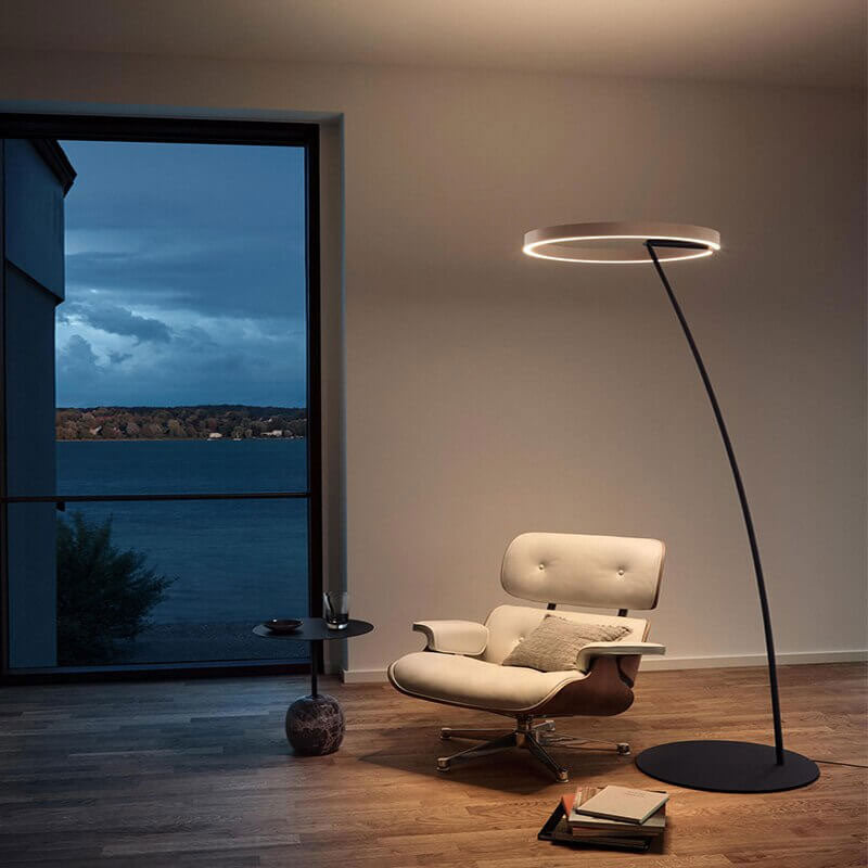 Hanging Halo Floor Lamp