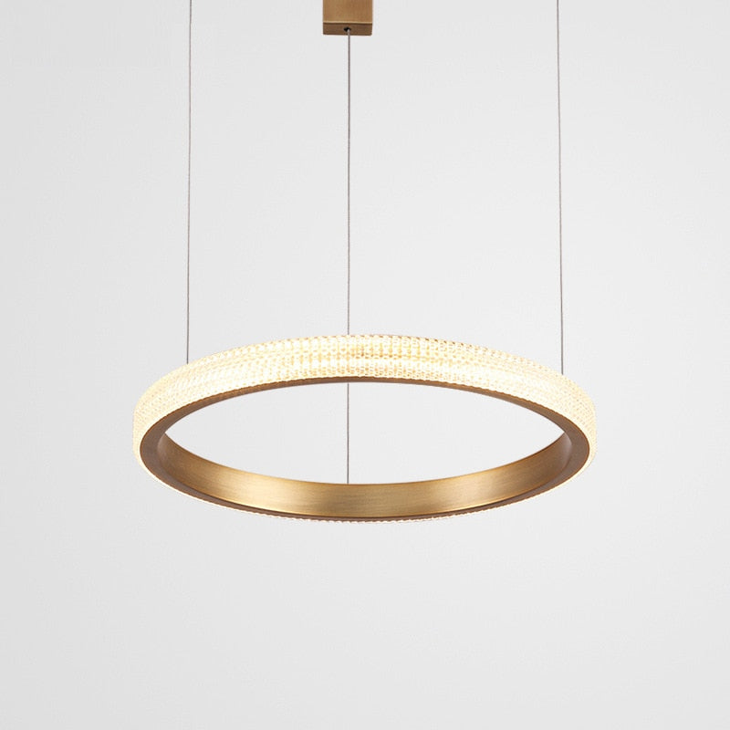 Modern Style Smooth Circle Chandelier